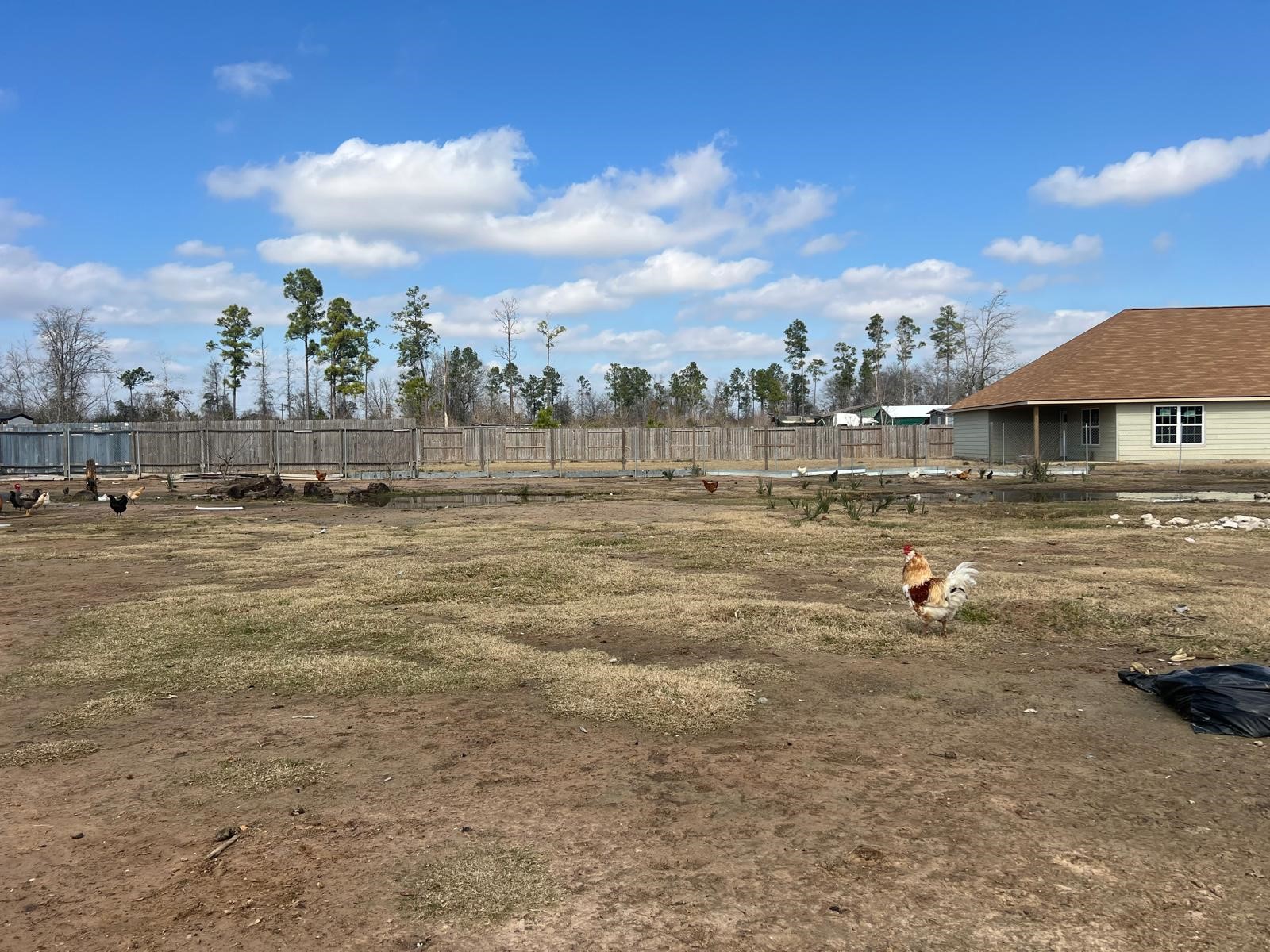 83 Road 5250 Cleveland, TX 77327 - Photo 8 of 8