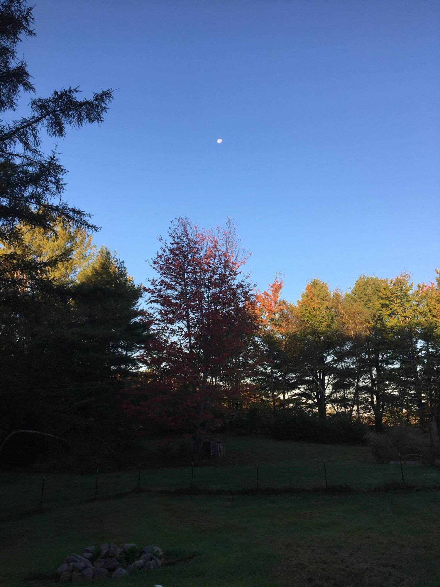 253 Medford Road Milo, ME 04463 - Photo 11 of 83 Sunset1
