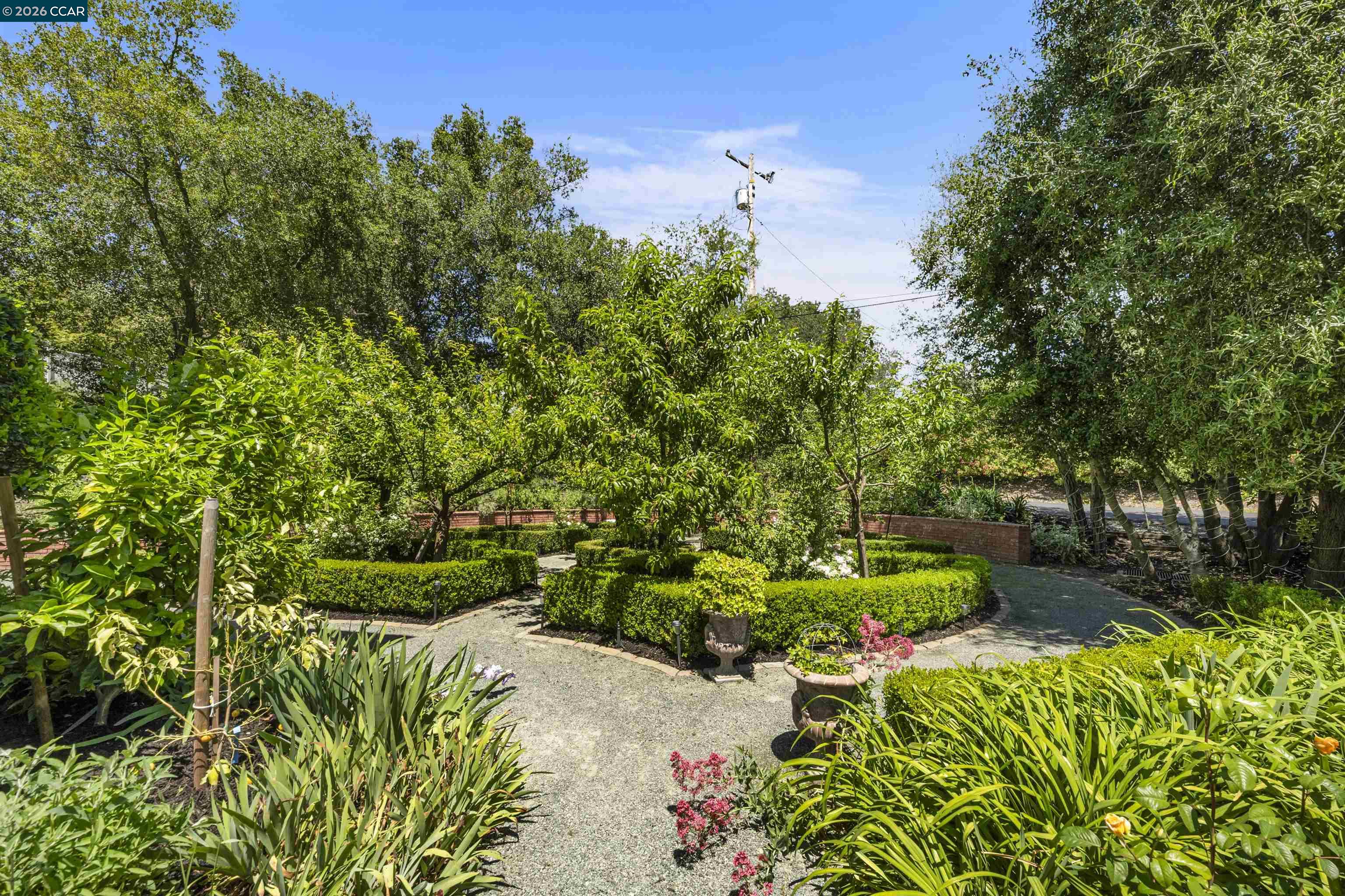 177 Oak Road Alamo, CA 94507 - Photo 59 of 85 a view of a garden with plants and large trees