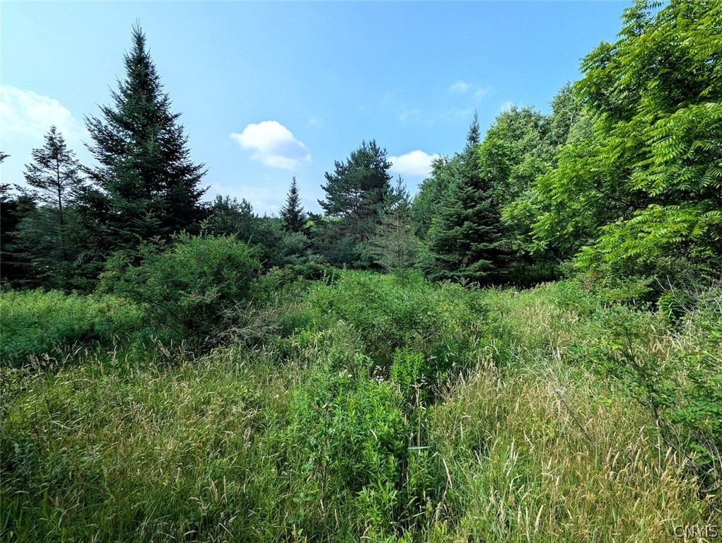 8880 Hemlock Road Wheeler, NY 14809 - Photo 37 of 50