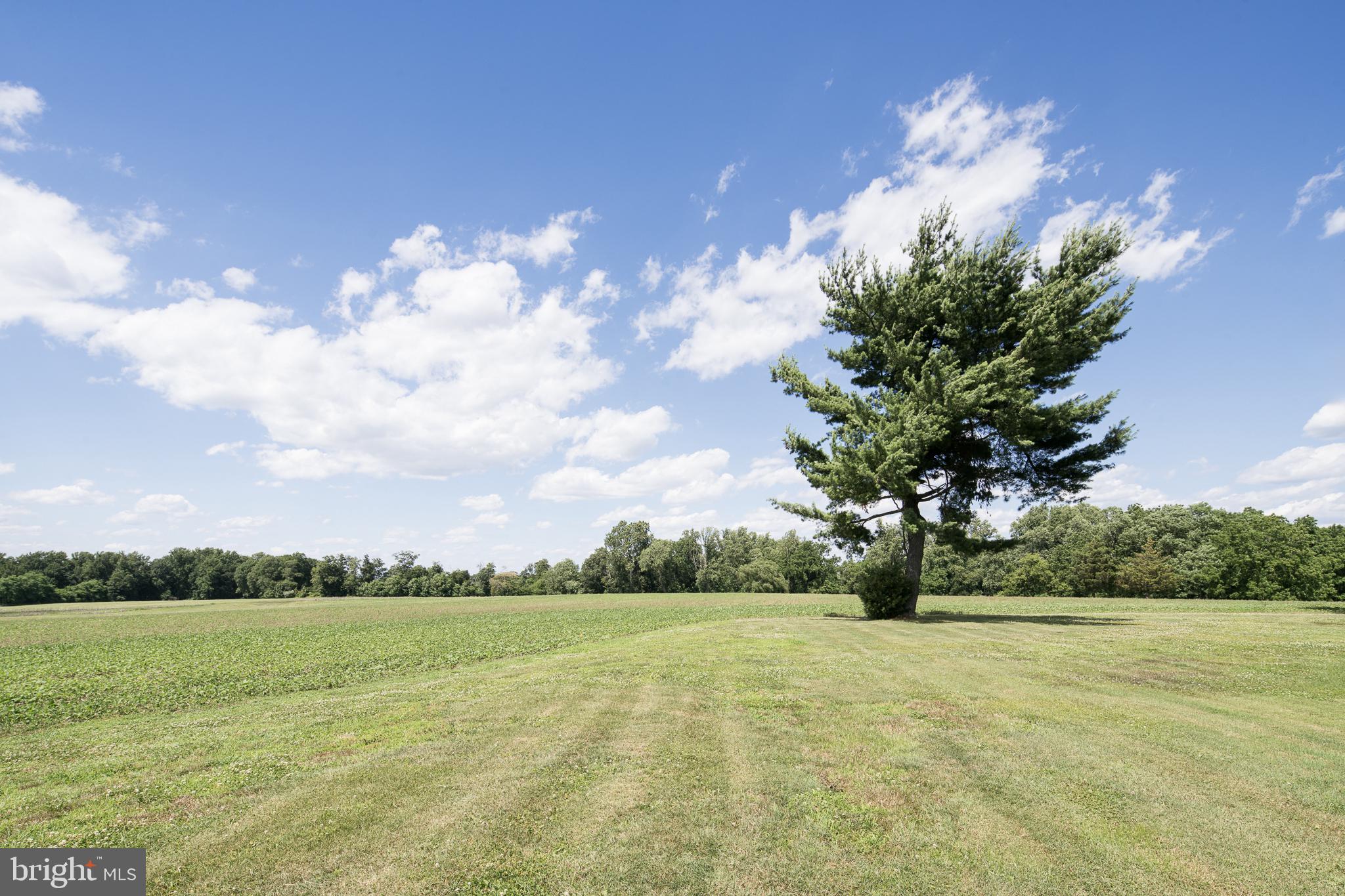 92 Warner Road Pilesgrove, NJ 08098 - Photo 30 of 37 Park-like Acreage