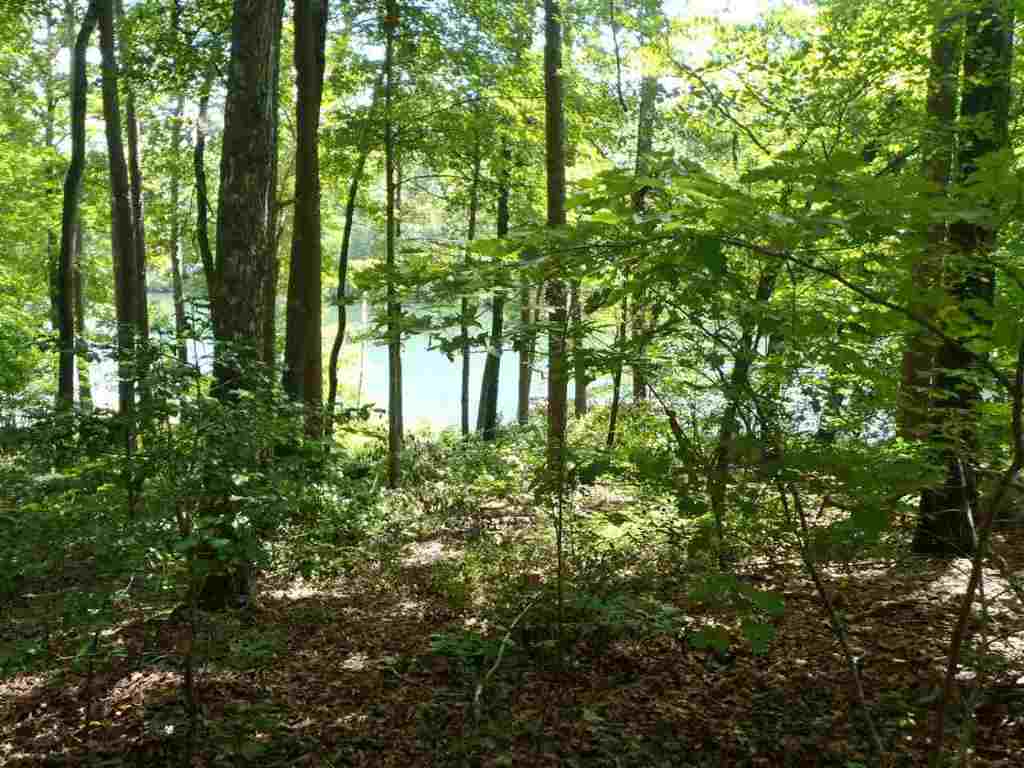135 Bonner Road Mountain Rest, SC 29664 - Photo 27 of 36 Gallery Image 27