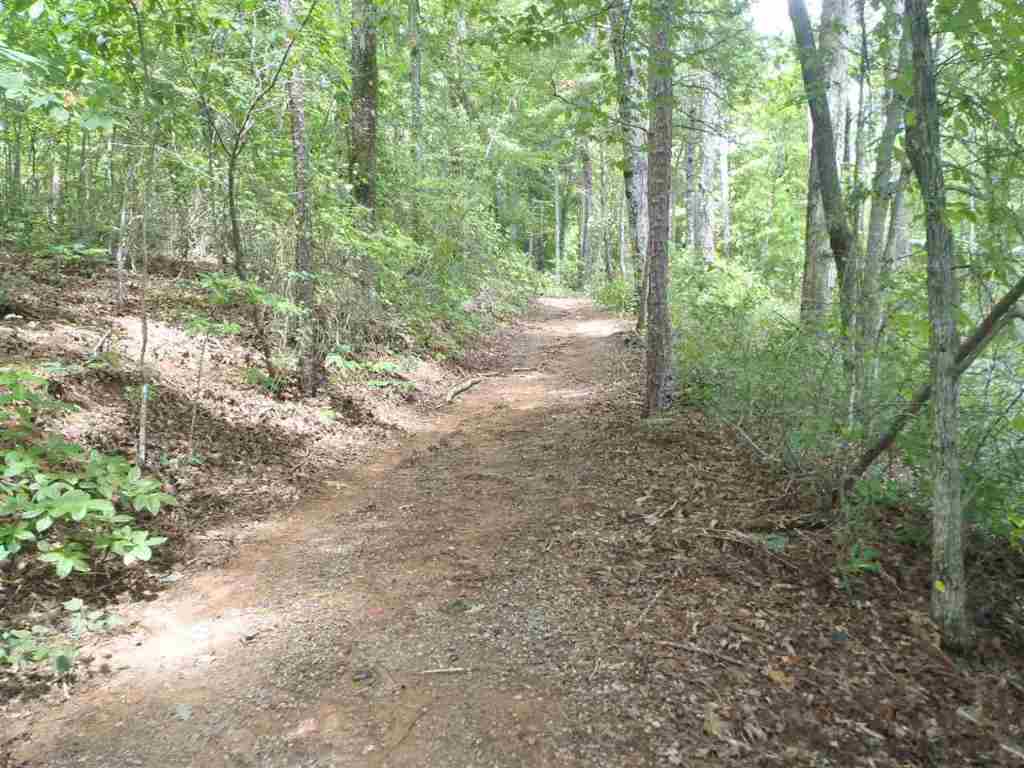 135 Bonner Road Mountain Rest, SC 29664 - Photo 3 of 36 Gallery Image 3