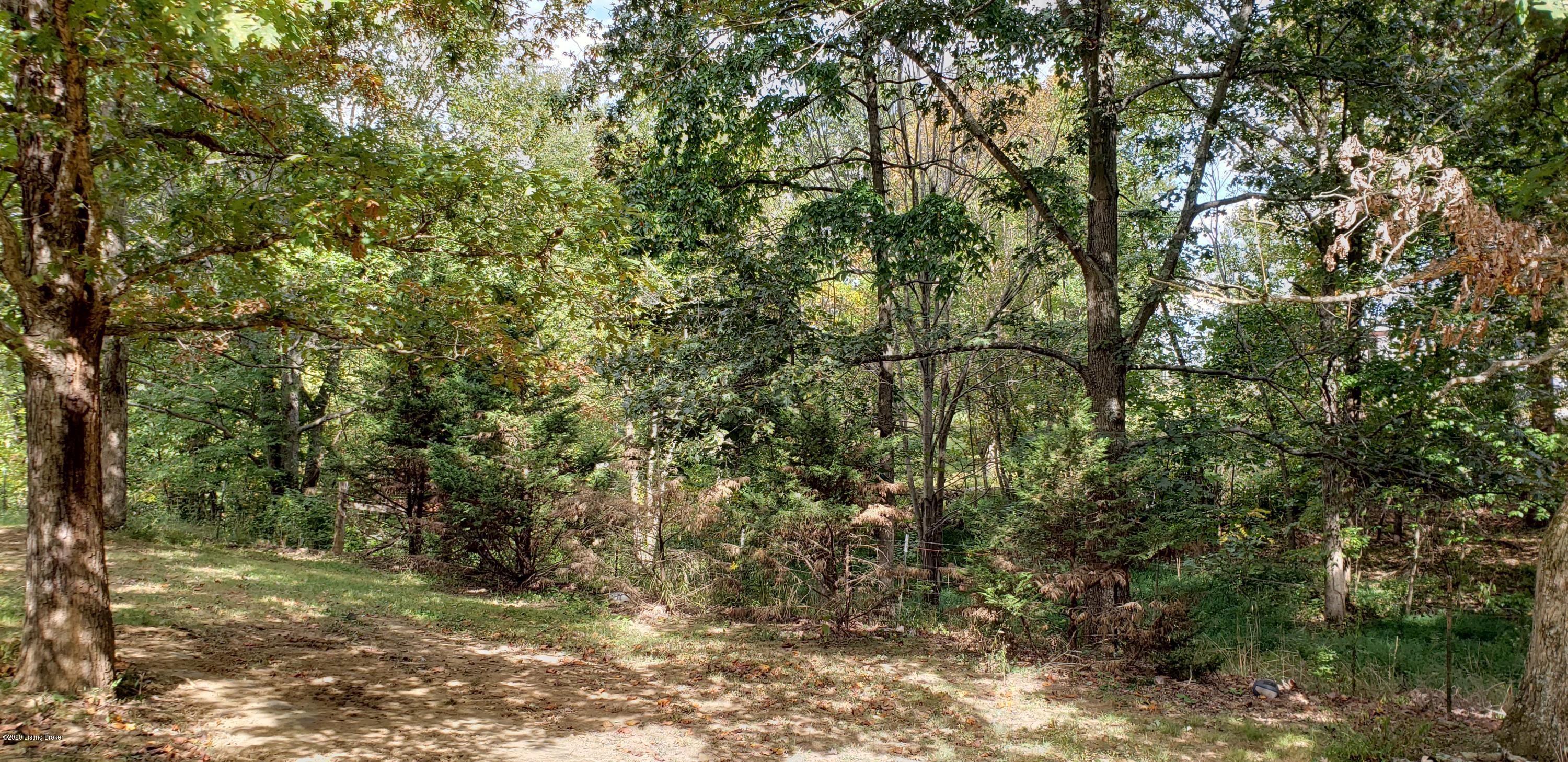 2725 Nat Rogers Road Boston, KY 40107 - Photo 32 of 34 2725 view s
