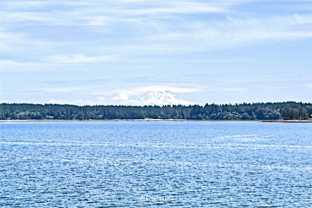 20 Southeast Beach Loop Road Shelton, WA 98584 - Photo 22 of 25 Gallery Image 22