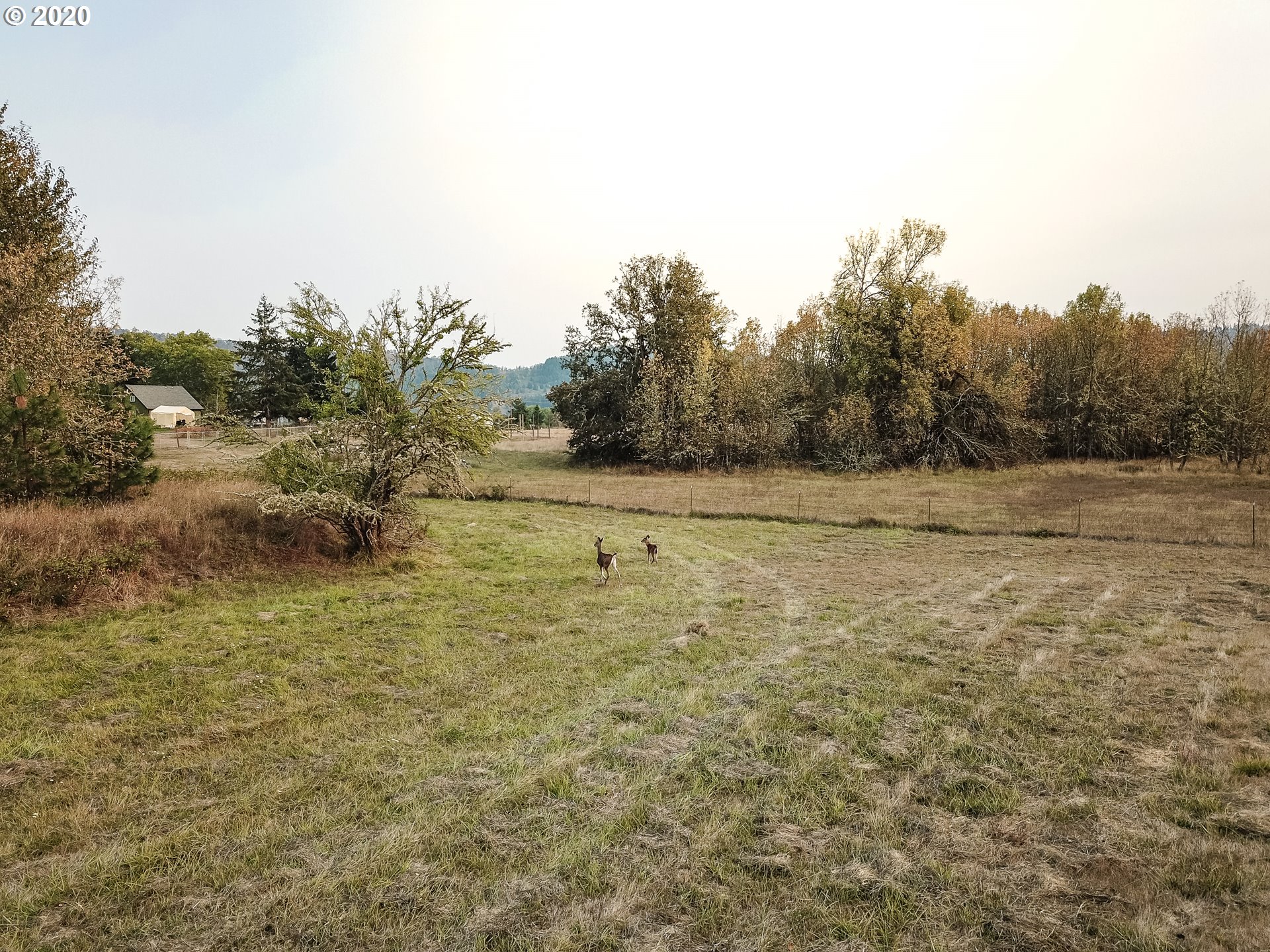 7883 Lookingglass Road Roseburg, OR 97471 - Photo 18 of 27 Gallery Image 18