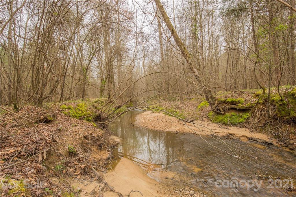 37 Ac Ross Dye Road Great Falls, SC 29055 - Photo 1 of 15 Gallery Image 1