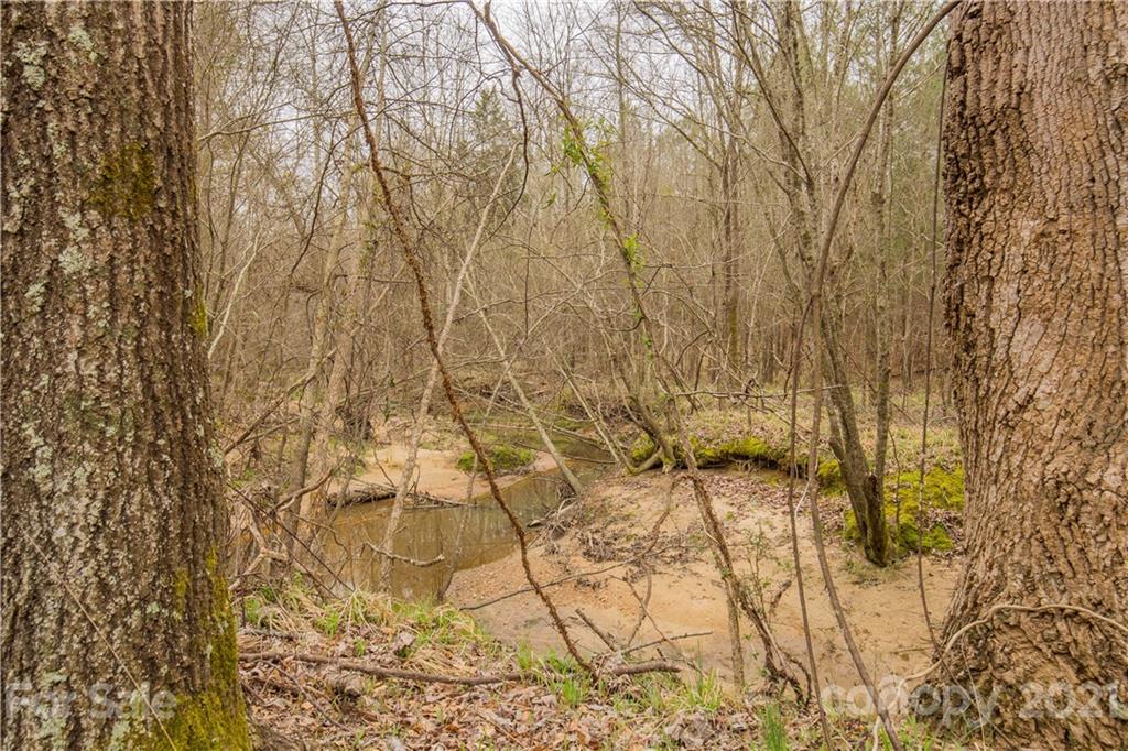 37 Ac Ross Dye Road Great Falls, SC 29055 - Photo 2 of 15 Gallery Image 2