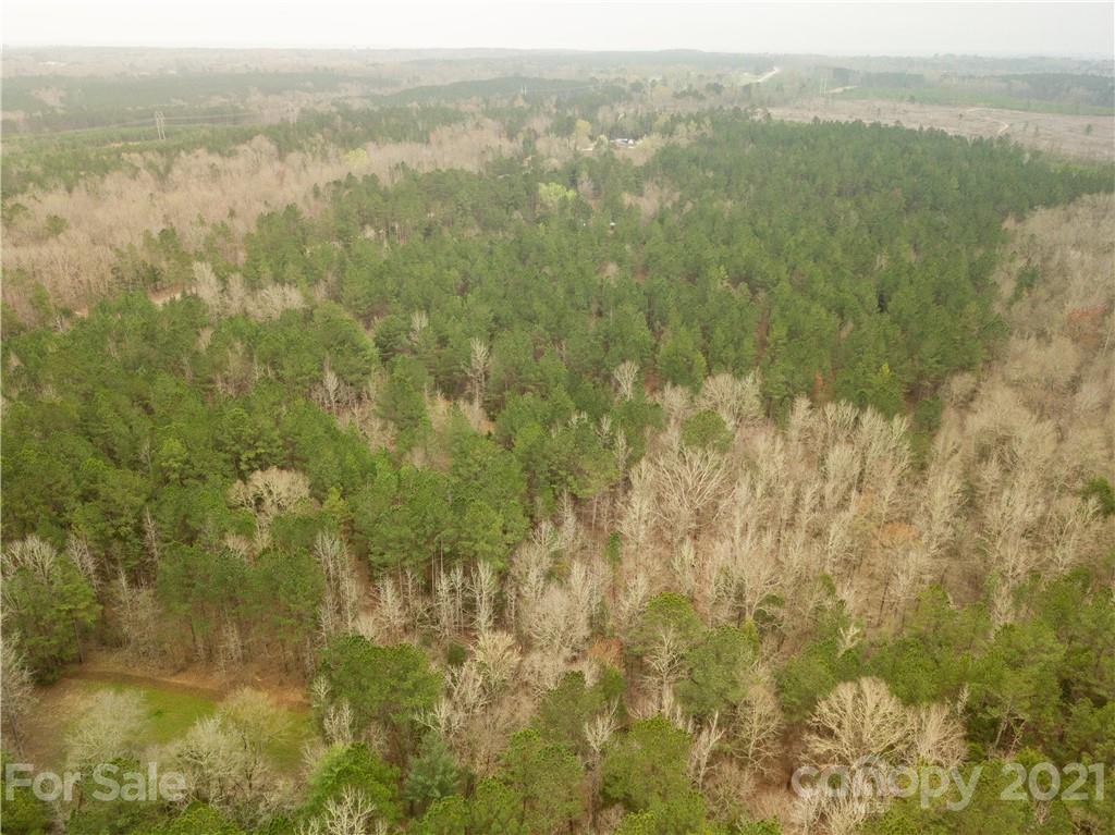 37 Ac Ross Dye Road Great Falls, SC 29055 - Photo 11 of 15 Gallery Image 11