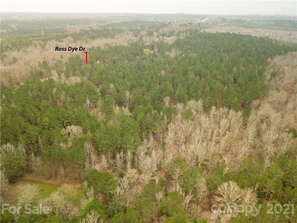 37 Ac Ross Dye Road Great Falls, SC 29055 - Photo 12 of 15 Gallery Image 12