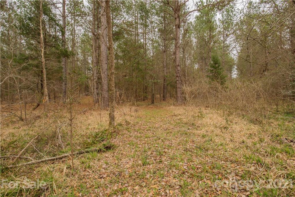 37 Ac Ross Dye Road Great Falls, SC 29055 - Photo 14 of 15 Gallery Image 14