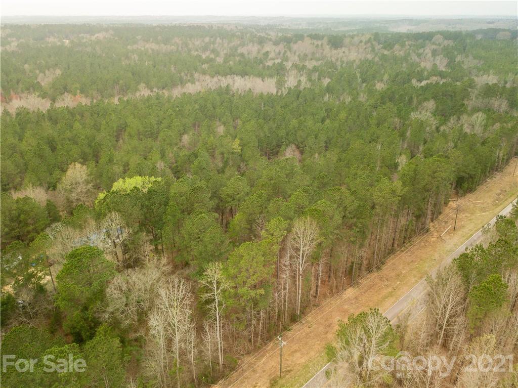37 Ac Ross Dye Road Great Falls, SC 29055 - Photo 3 of 15 Gallery Image 3