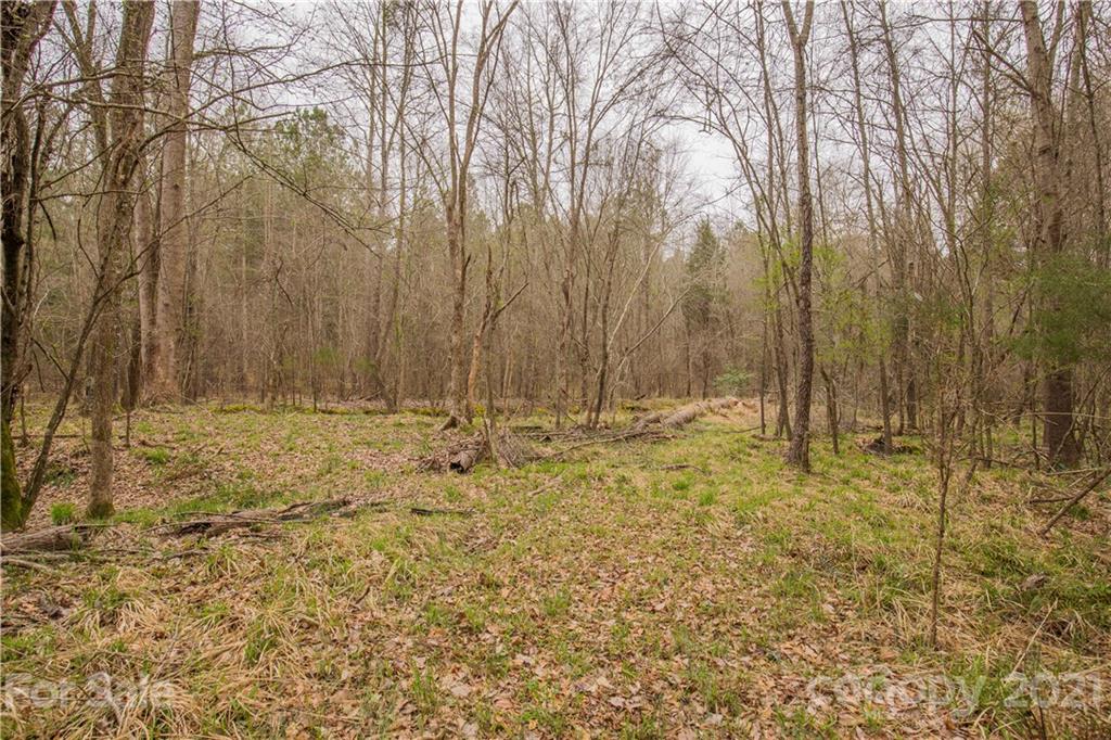37 Ac Ross Dye Road Great Falls, SC 29055 - Photo 4 of 15 Gallery Image 4