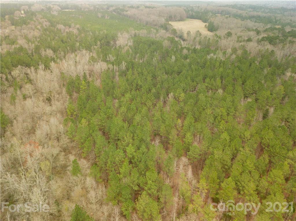 37 Ac Ross Dye Road Great Falls, SC 29055 - Photo 5 of 15 Gallery Image 5