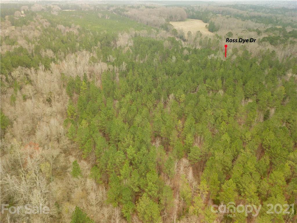 37 Ac Ross Dye Road Great Falls, SC 29055 - Photo 6 of 15 Gallery Image 6