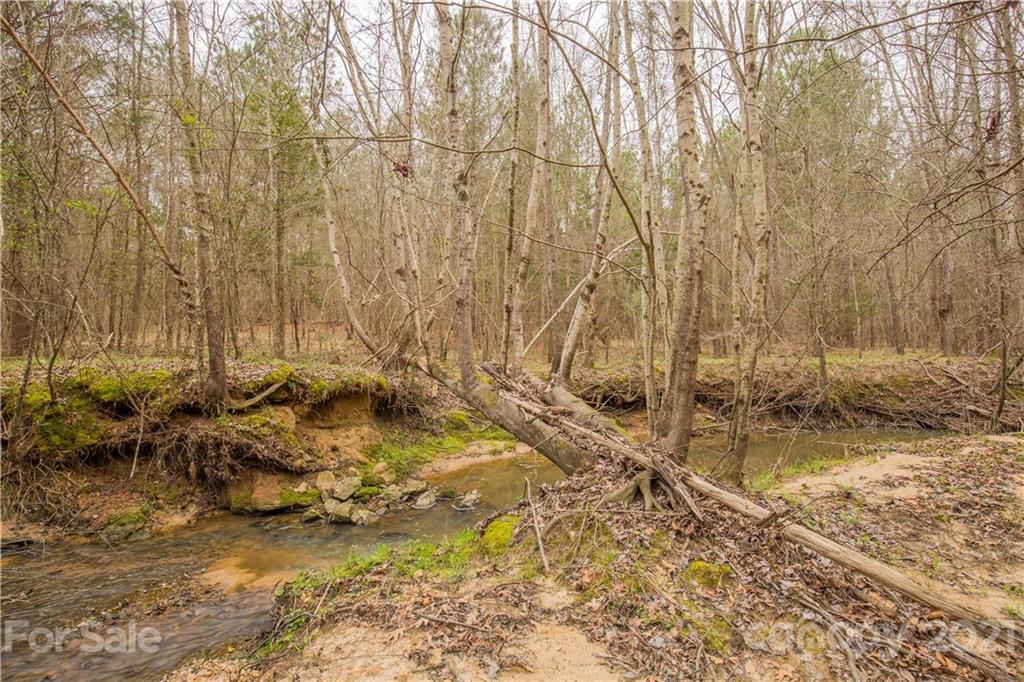 37 Ac Ross Dye Road Great Falls, SC 29055 - Photo 7 of 15 Gallery Image 7