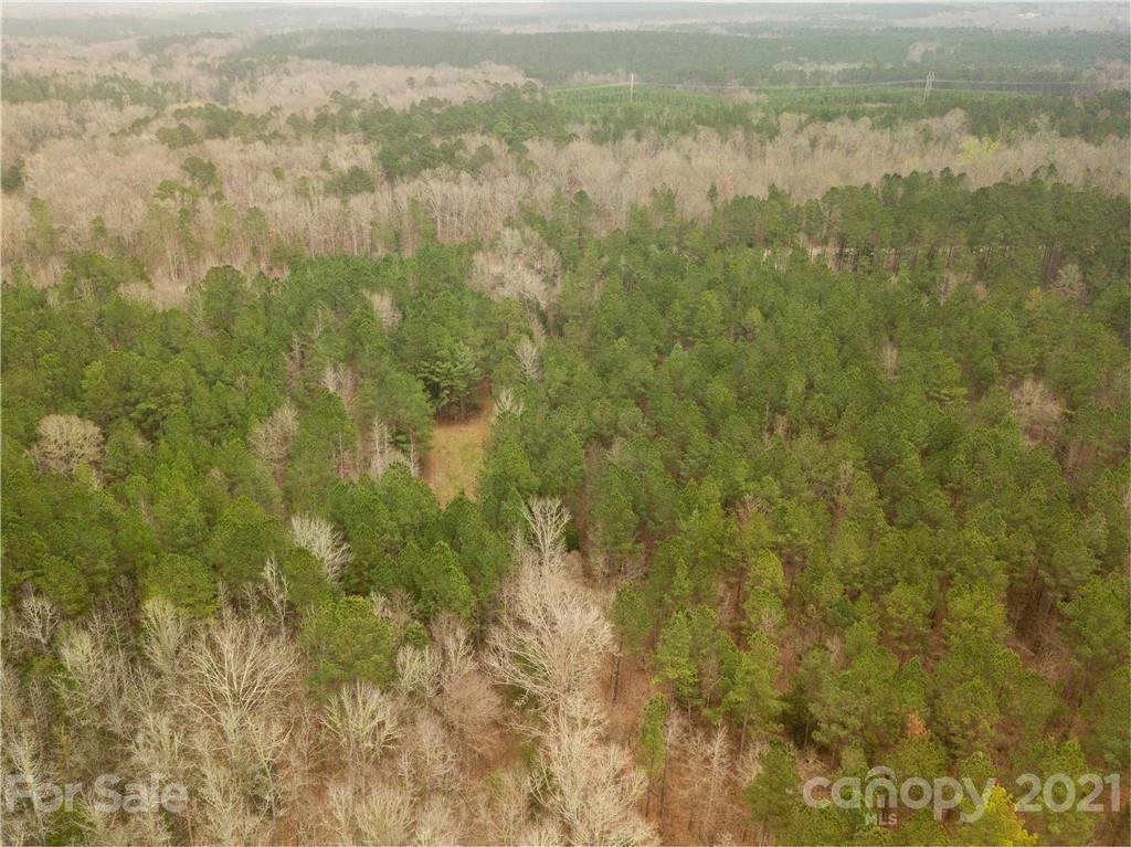 37 Ac Ross Dye Road Great Falls, SC 29055 - Photo 8 of 15 Gallery Image 8