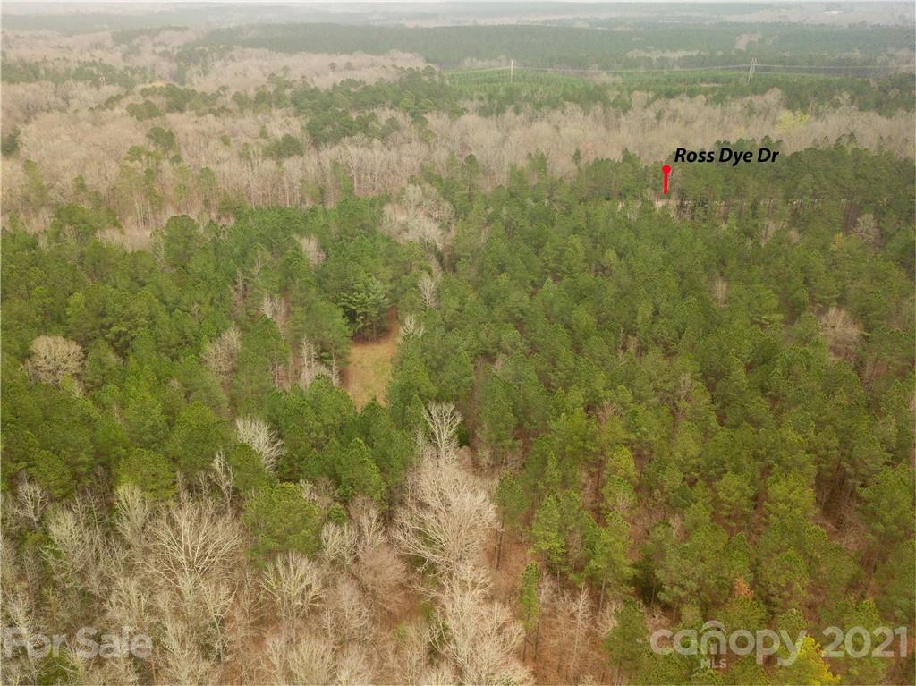 37 Ac Ross Dye Road Great Falls, SC 29055 - Photo 9 of 15 Gallery Image 9