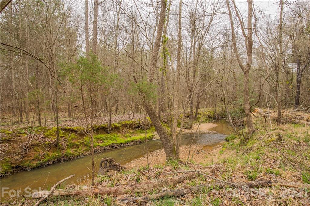 37 Ac Ross Dye Road Great Falls, SC 29055 - Photo 10 of 15 Gallery Image 10