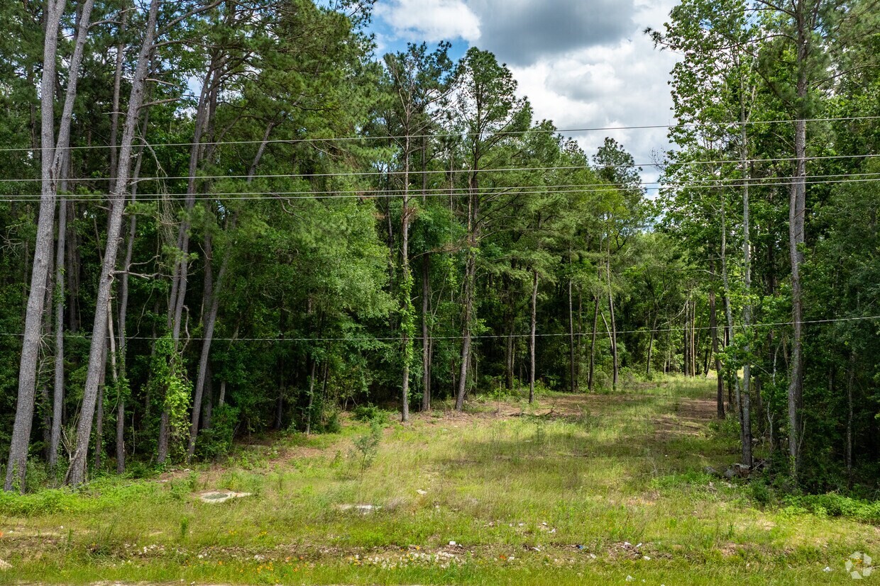 0 North Porter Road Conroe, TX 77301 - Photo 9 of 10
