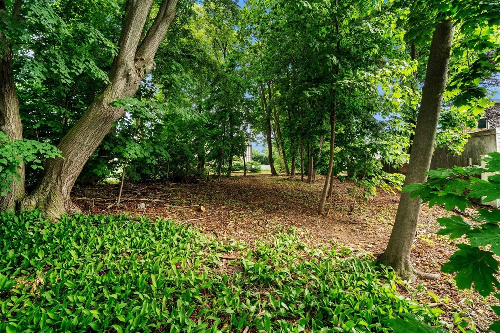 239 Nahant Road Nahant, MA 01908 - Photo 14 of 40