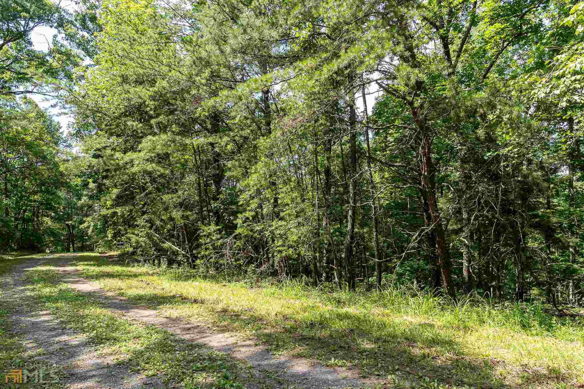 1722 Rebekah Ridge Road Talking Rock, GA 30175 - Photo 1 of 1 a view of a yard