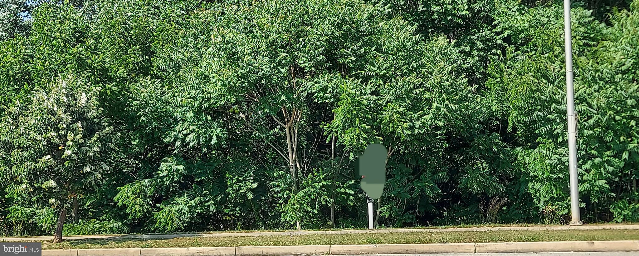 0 Briggs Chaney Road Silver Spring, MD 20905 - Photo 1 of 2 a view of a yard