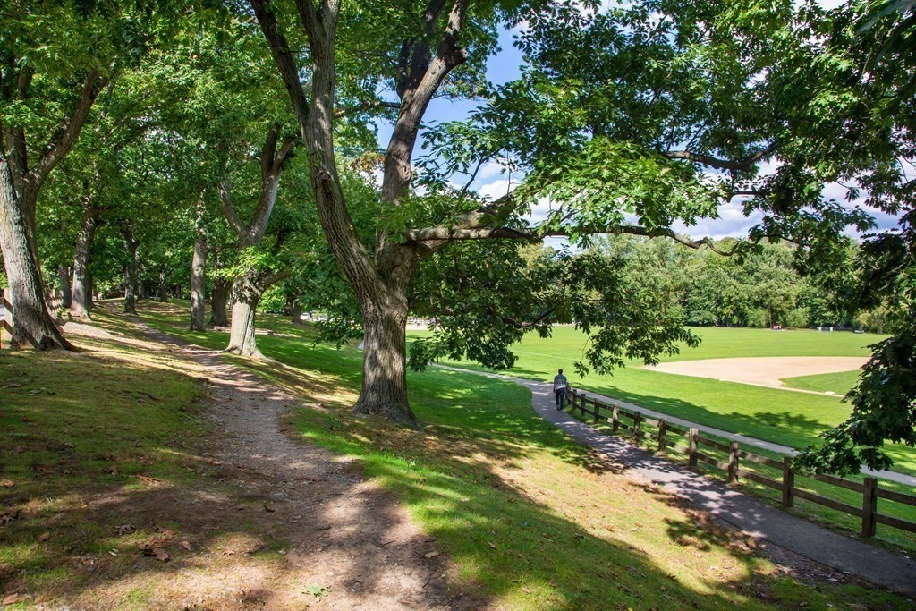 30 Powell Street, Unit 2 Brookline, MA 02446 - Photo 27 of 27 a view of a street with a yard