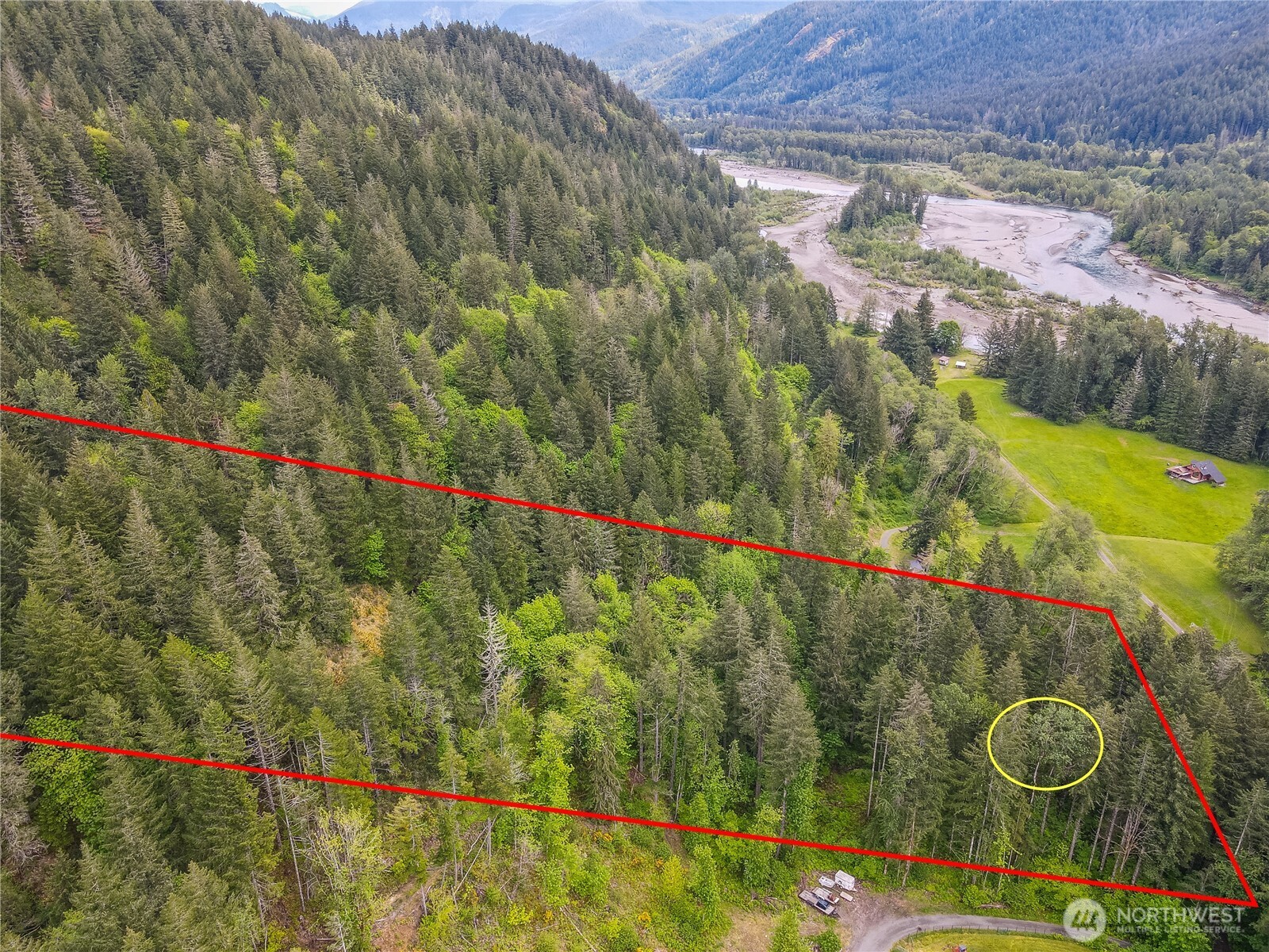 0 Carr Road Randle, WA 98377 - Photo 17 of 20