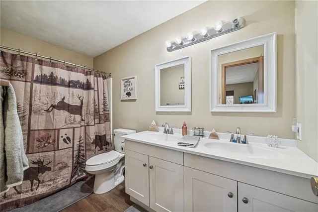 a bathroom with a sink toilet and shower