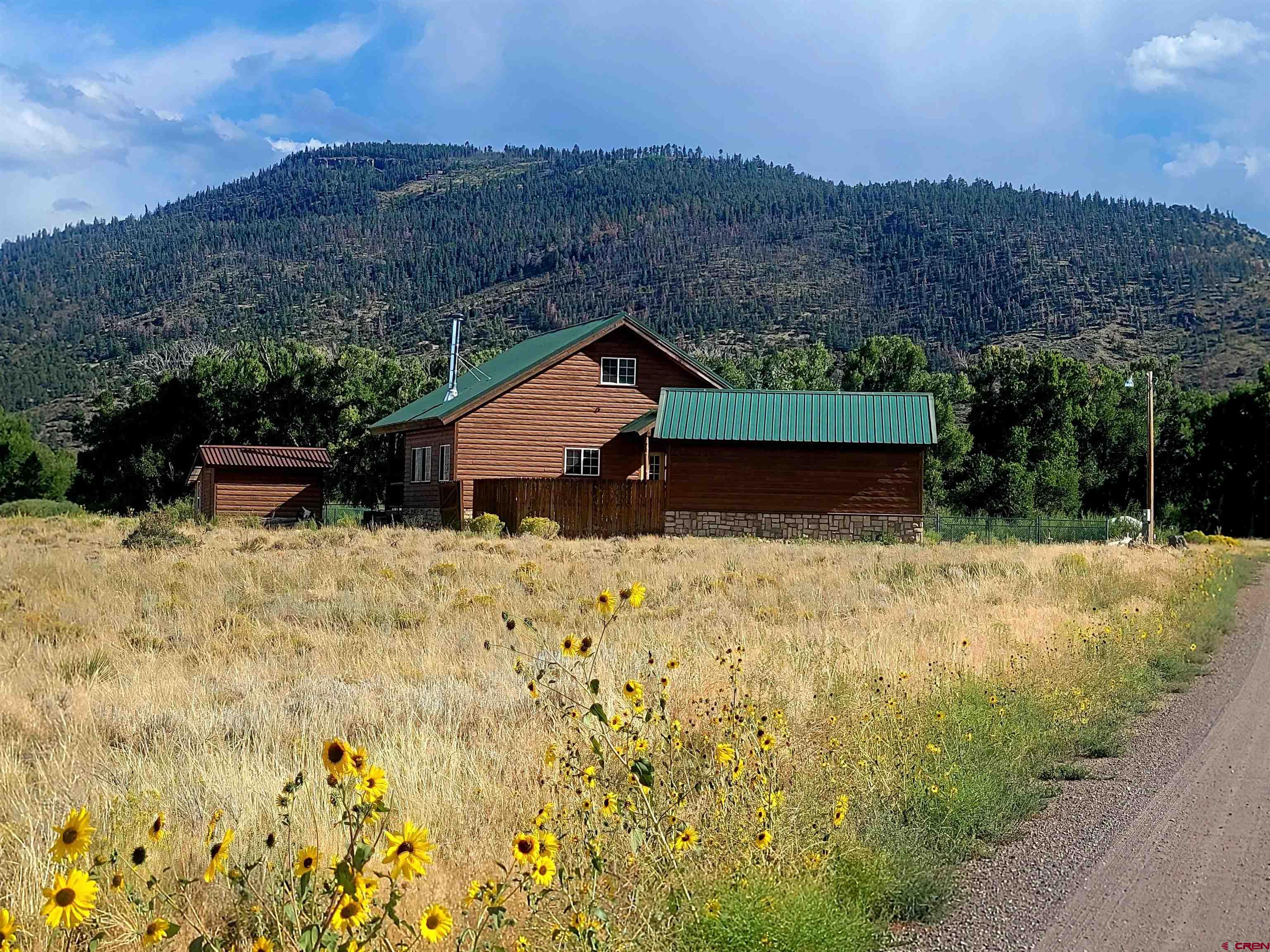 74 Owhi Road South Fork, CO 81154 - Photo 8 of 41 a view of house with a yard and mountain view in back