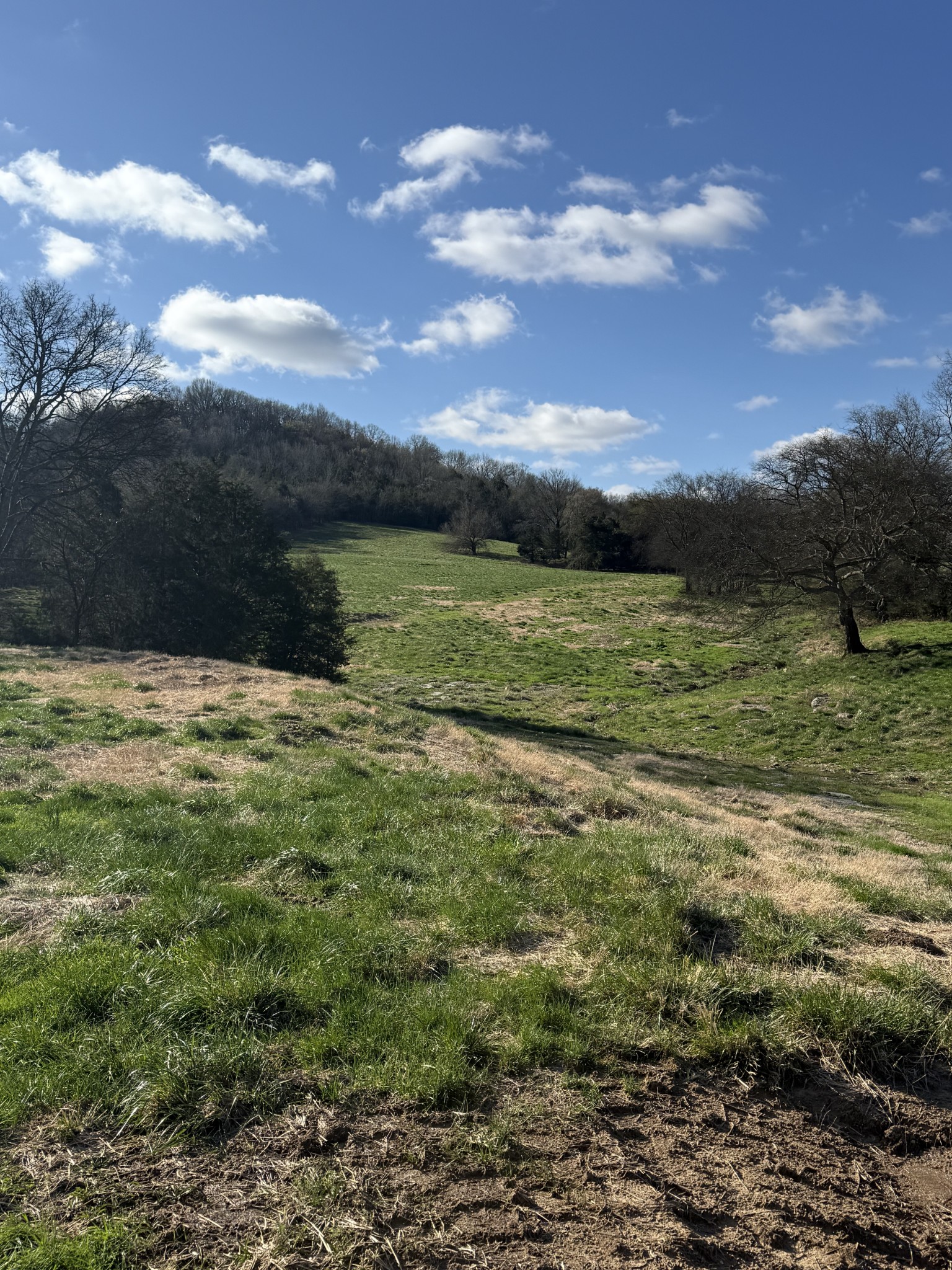 5335 Browning Branch Road Bethpage, TN 37022 - Photo 19 of 21