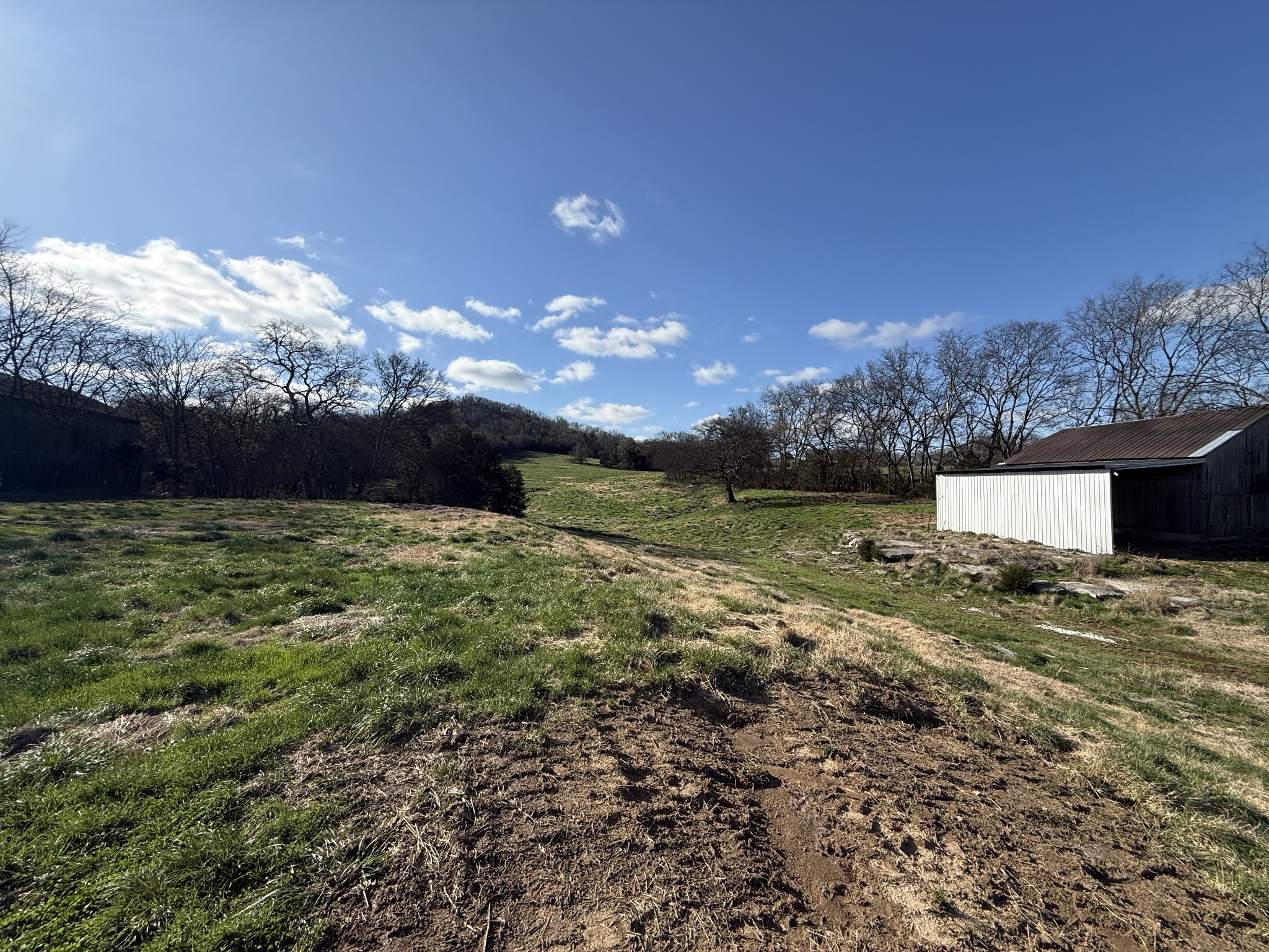 5335 Browning Branch Road Bethpage, TN 37022 - Photo 6 of 21