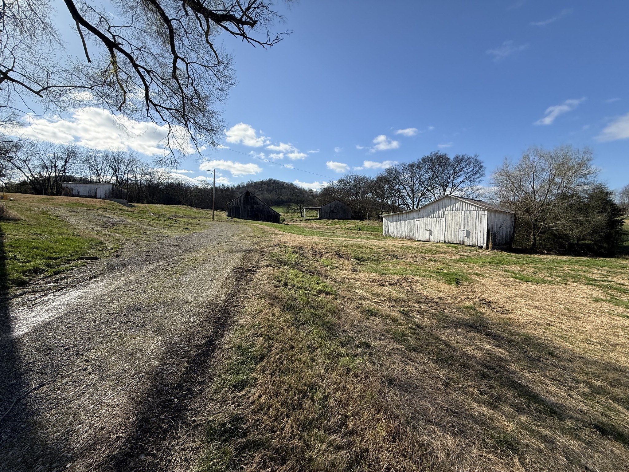 5335 Browning Branch Road Bethpage, TN 37022 - Photo 9 of 21