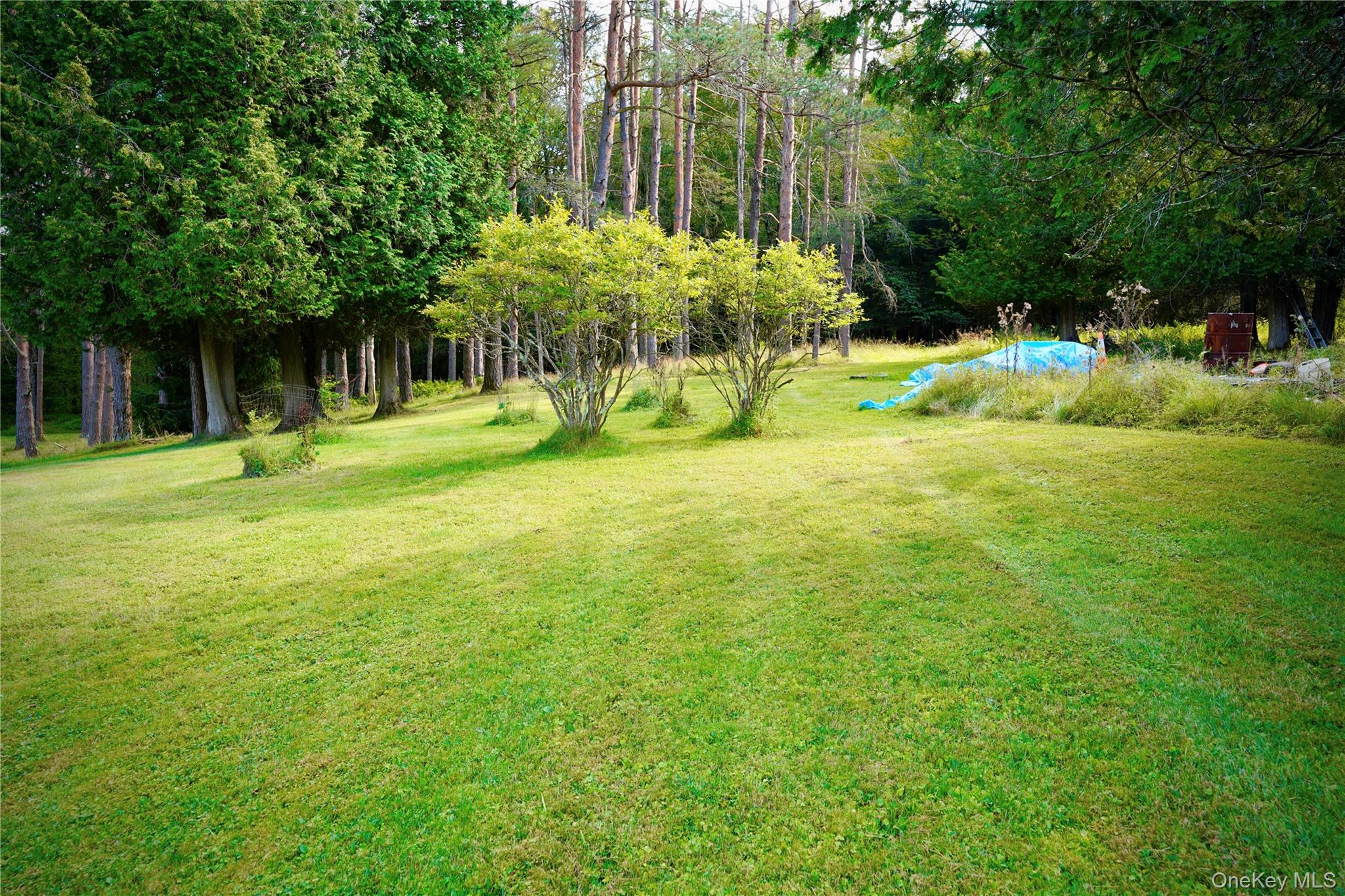 669 Shandelee Road Livingston Manor, NY 12758 - Photo 14 of 46 a backyard of a house with yard and outdoor seating