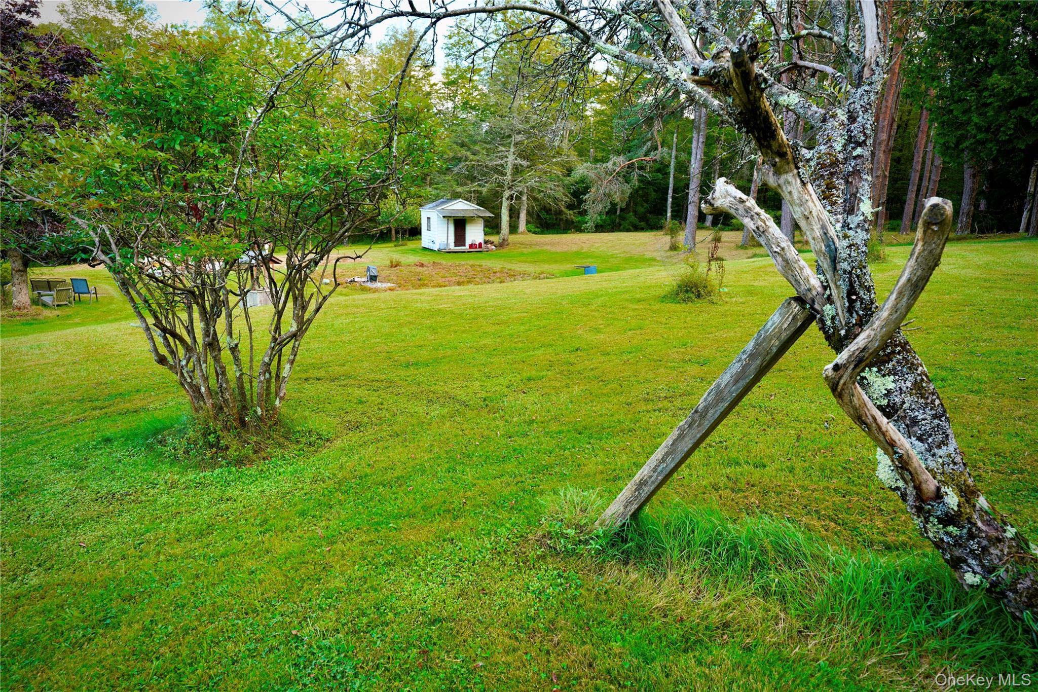 669 Shandelee Road Livingston Manor, NY 12758 - Photo 16 of 46 a view of a backyard with large trees