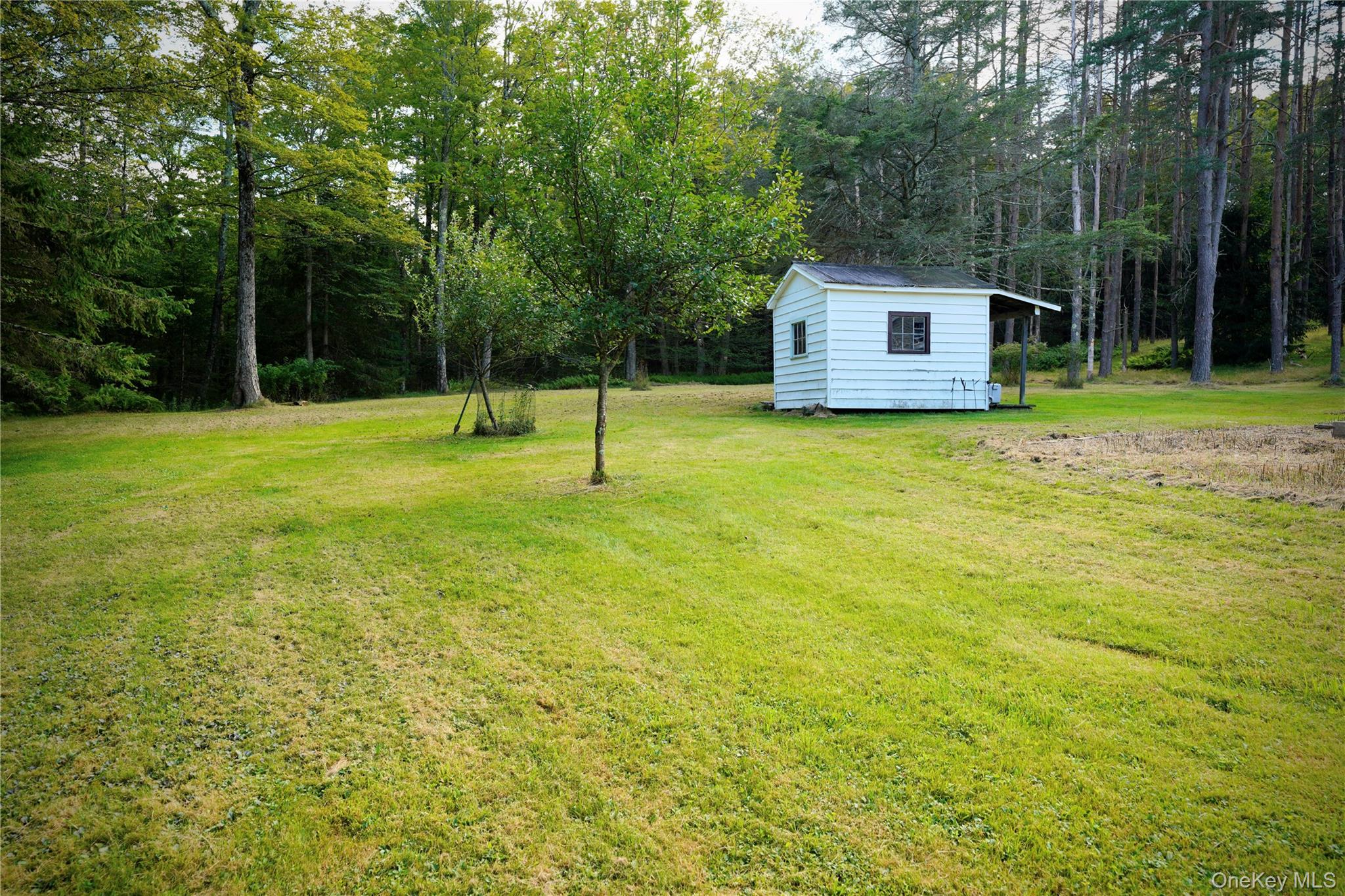 669 Shandelee Road Livingston Manor, NY 12758 - Photo 18 of 46 a house view with a backyard space