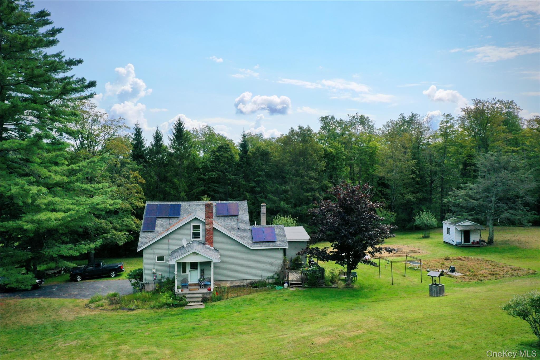 669 Shandelee Road Livingston Manor, NY 12758 - Photo 3 of 46 an aerial view of a house with swimming pool and garden