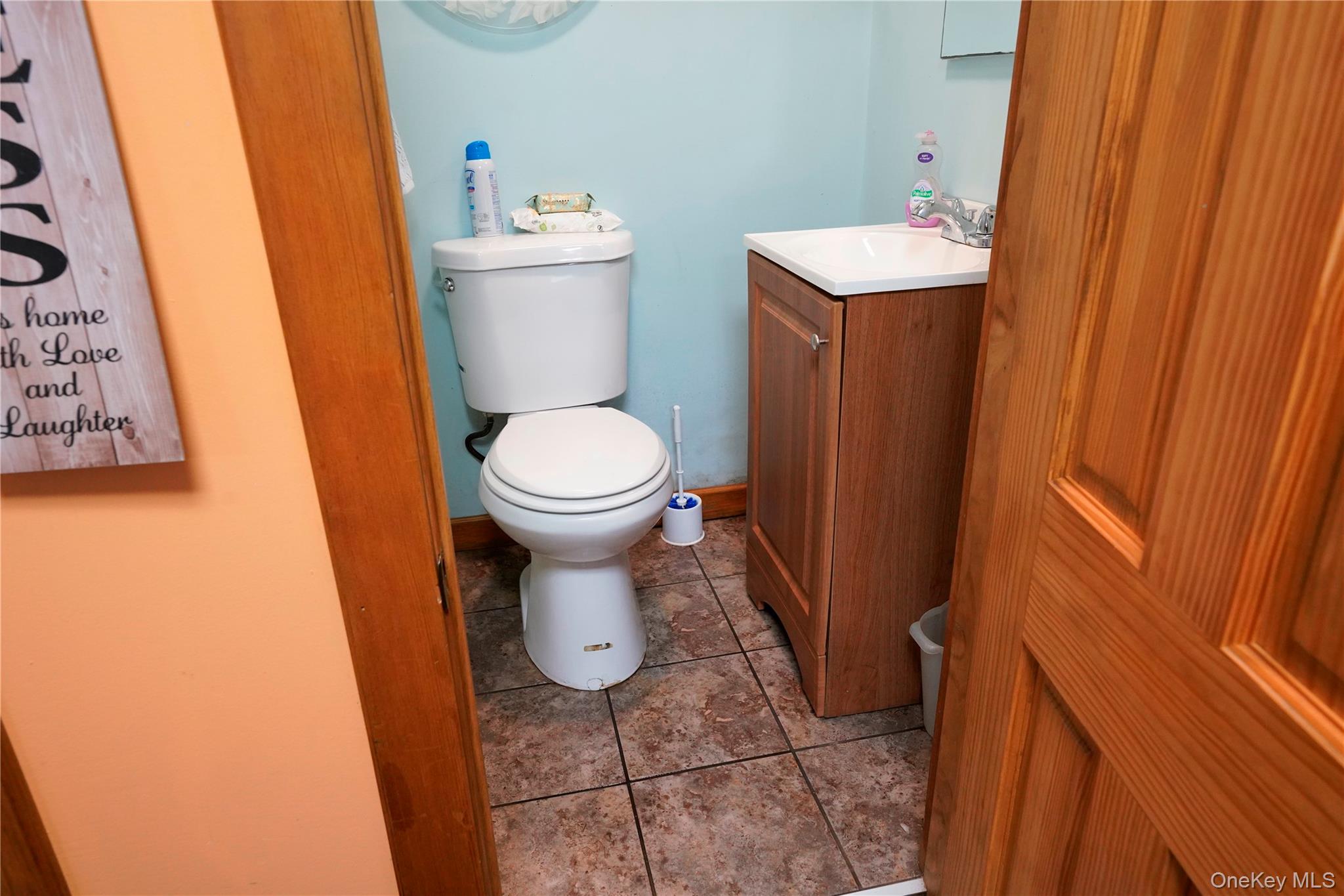 669 Shandelee Road Livingston Manor, NY 12758 - Photo 40 of 46 a bathroom with a sink and toilet