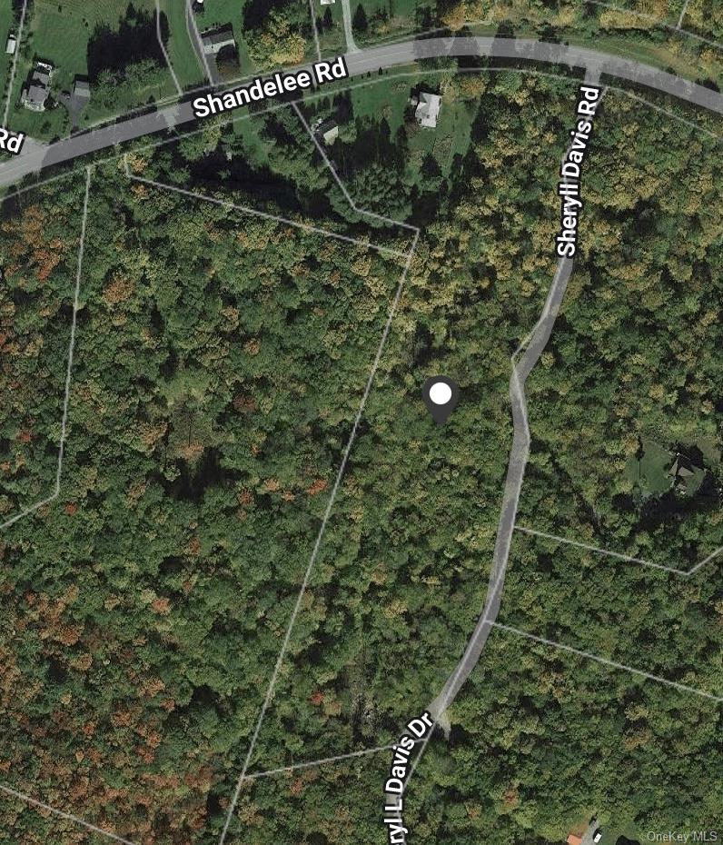 669 Shandelee Road Livingston Manor, NY 12758 - Photo 46 of 46 a view of a forest