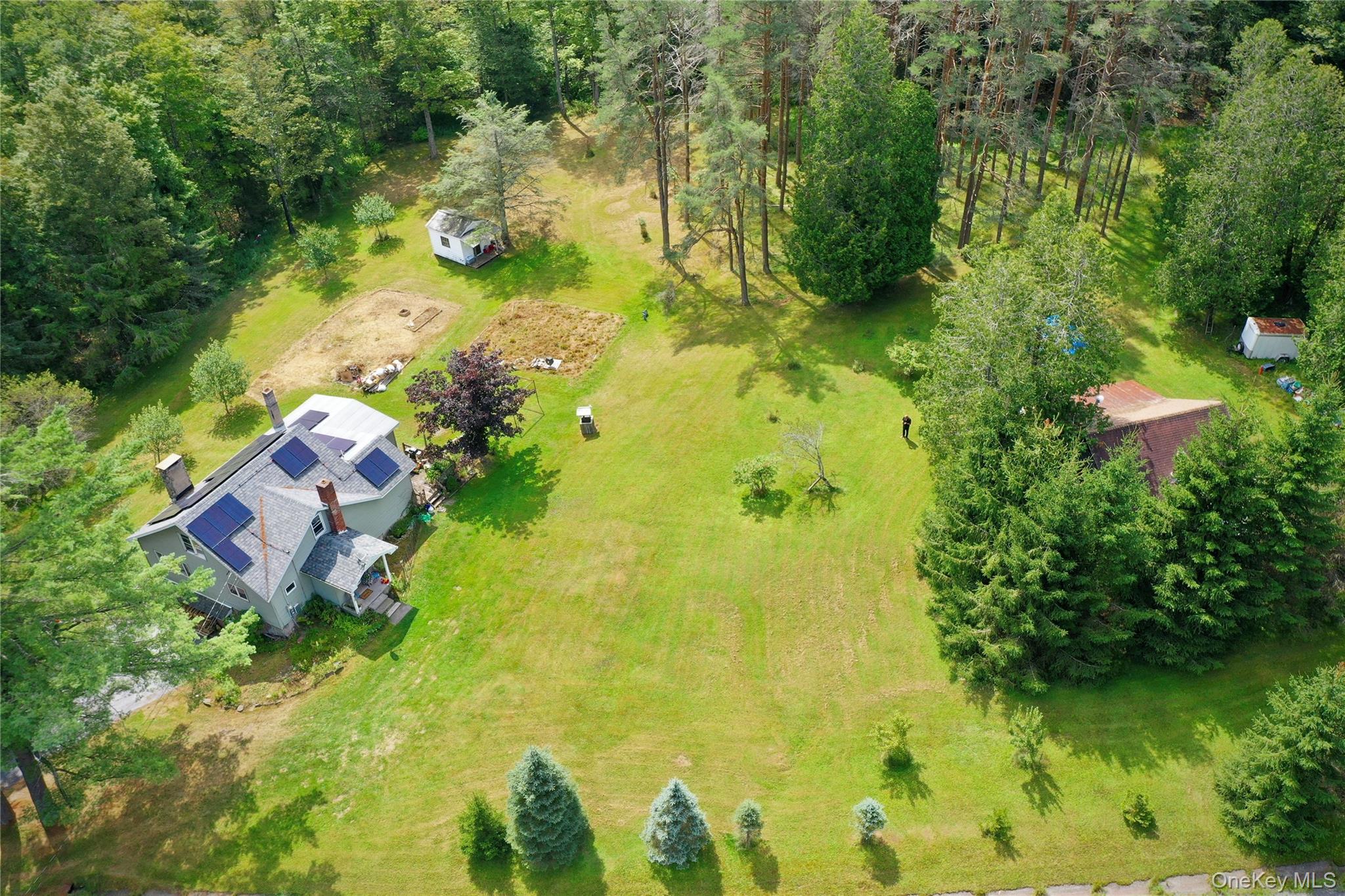 669 Shandelee Road Livingston Manor, NY 12758 - Photo 8 of 46 a aerial view of residential house with swimming pool and large trees