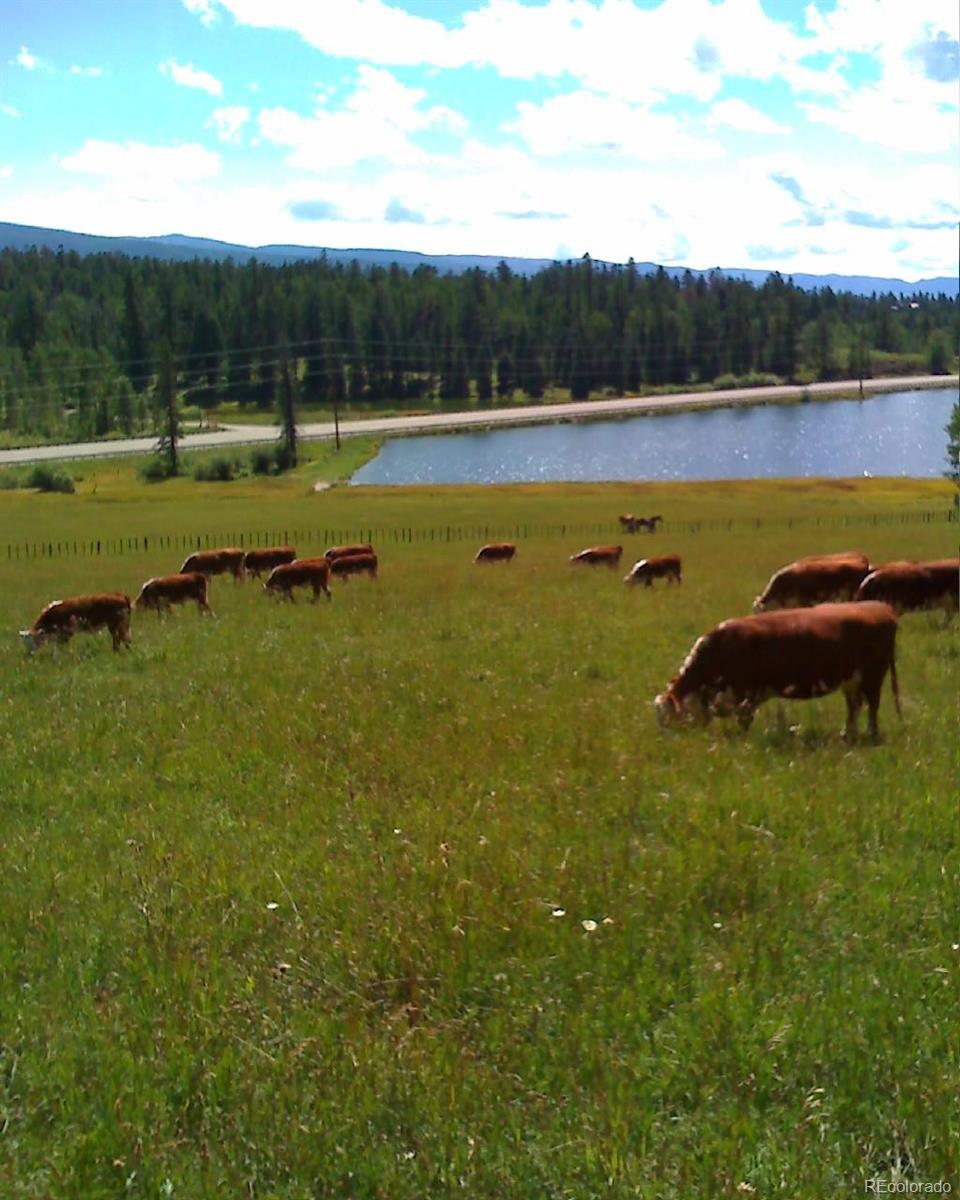 47632 Highway 550 Durango, CO 81301 - Photo 21 of 47 a view of a lake with couches in the back