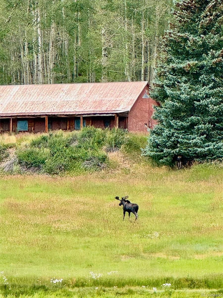 47632 Highway 550 Durango, CO 81301 - Photo 28 of 47 a backyard of a house with swimming pool and outdoor seating