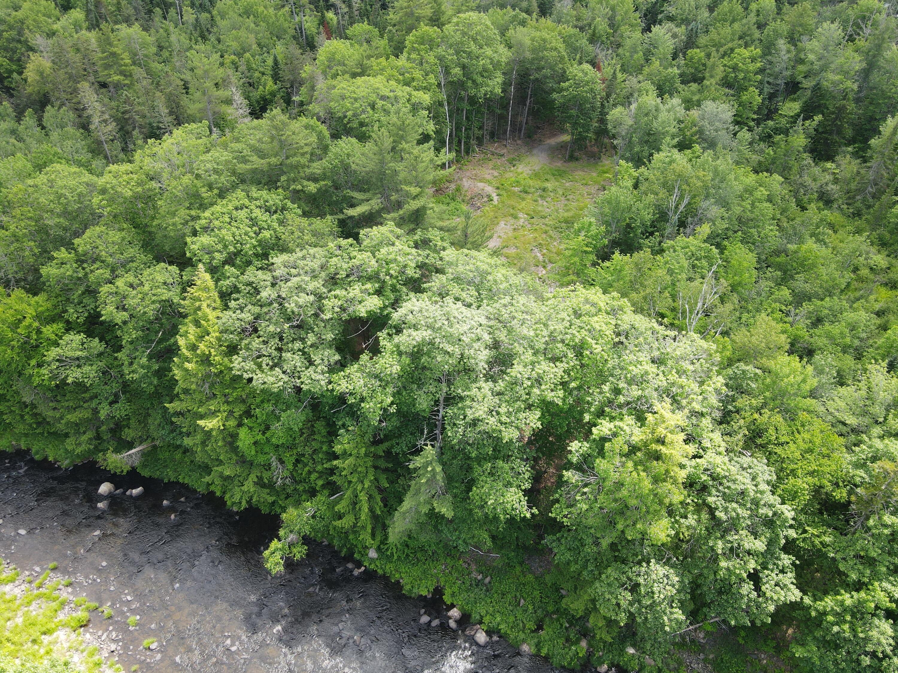 0 Main Road Abbot, ME 04406 - Photo 34 of 36 dji_export_1657218602817