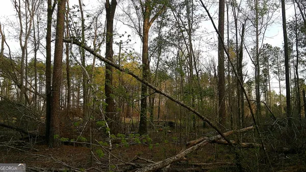 $50,000 | 2837 Highway 56, Midville, GA 30441