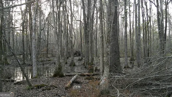 $50,000 | 2837 Highway 56, Midville, GA 30441