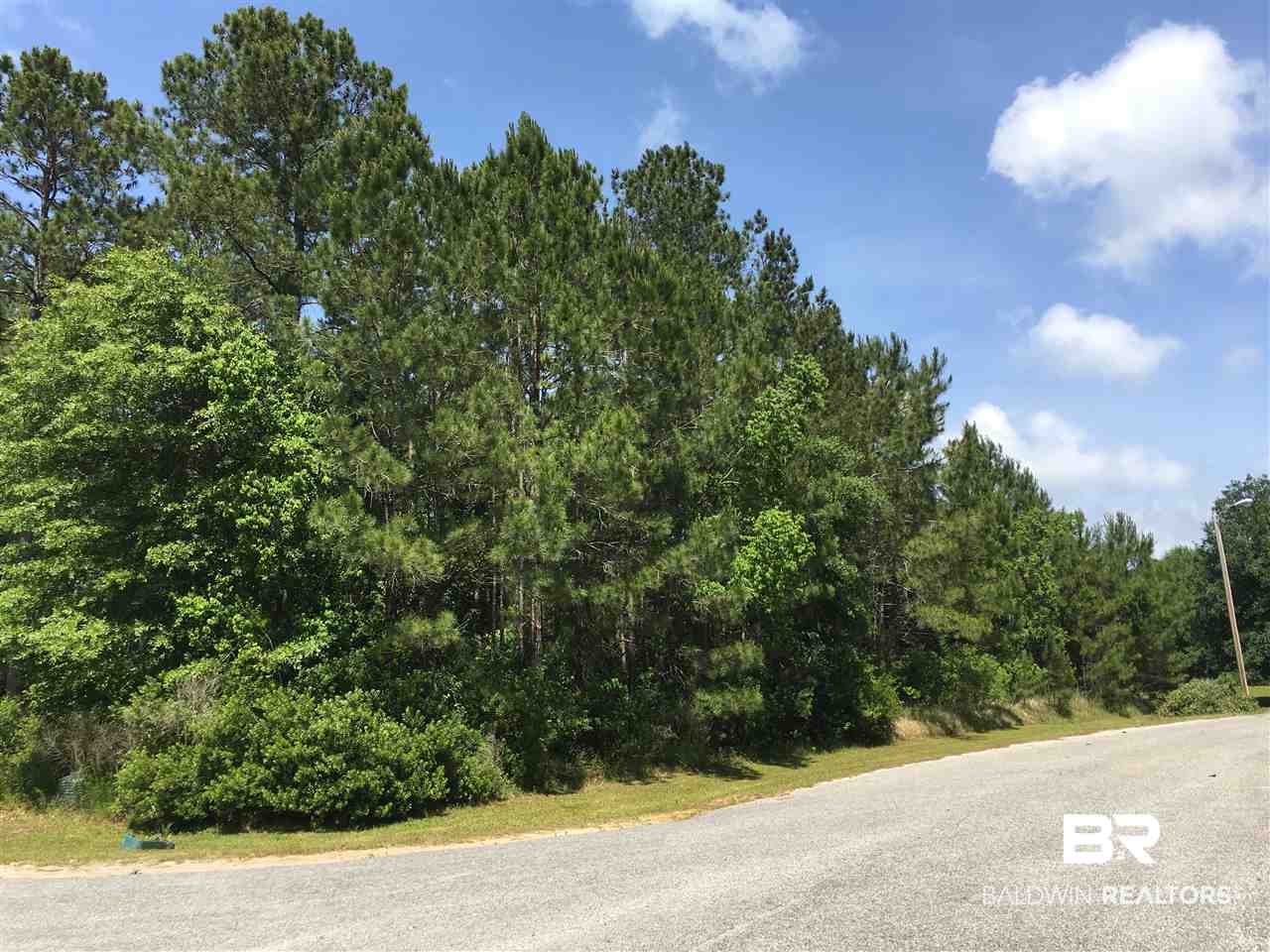 37 Millhouse Road Gulf Shores, AL 36542 - Photo 2 of 7 View Down Millhouse Rd