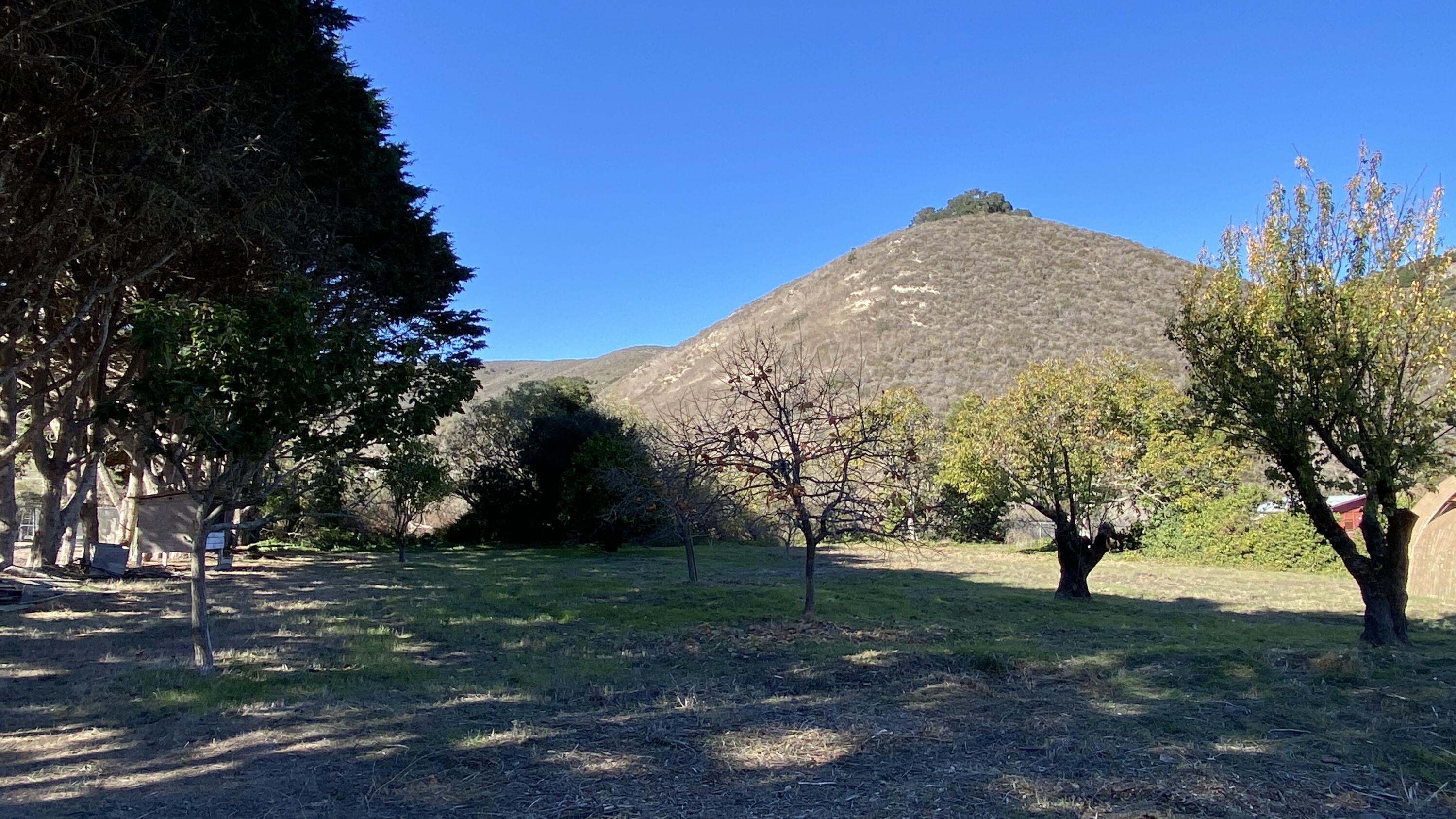 1401 San Miguelito Road Lompoc, CA 93436 - Photo 49 of 61 a view of a tree in front of a house