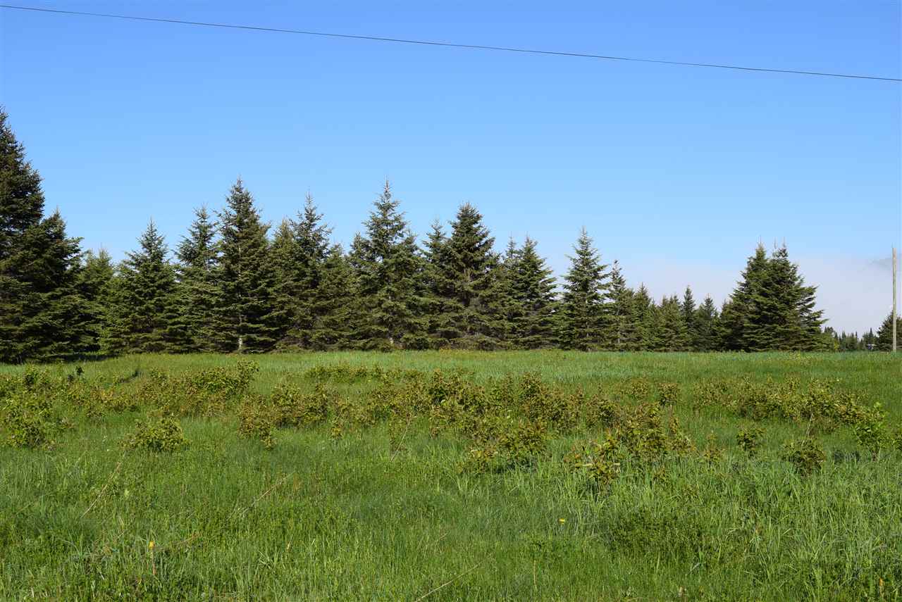 87 Haynes Road Clarksville, NH 03592 - Photo 2 of 7
