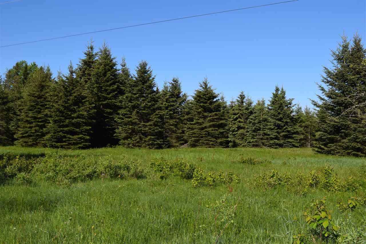 87 Haynes Road Clarksville, NH 03592 - Photo 3 of 7